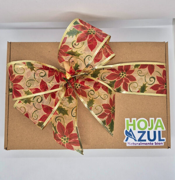 Caja Navideña de regalo
